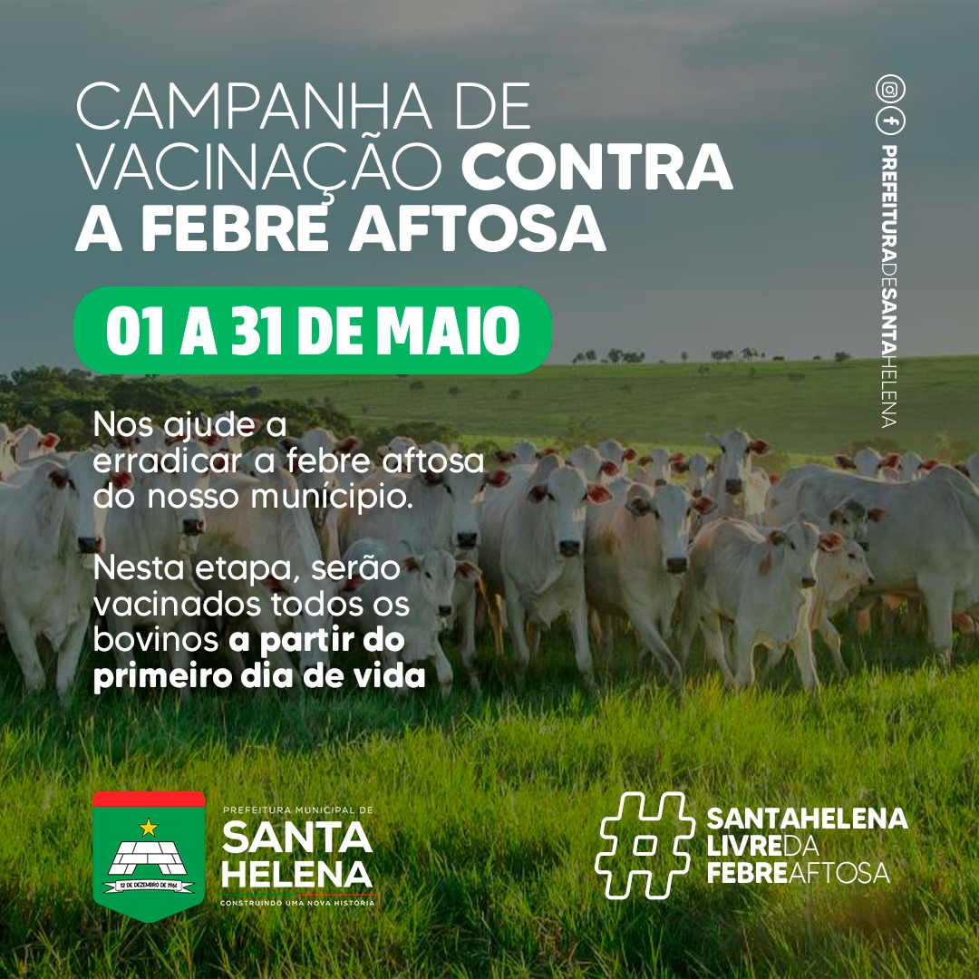 Prefeitura de Santa Helena inicia campanha de vacinação contra Febre Aftosa