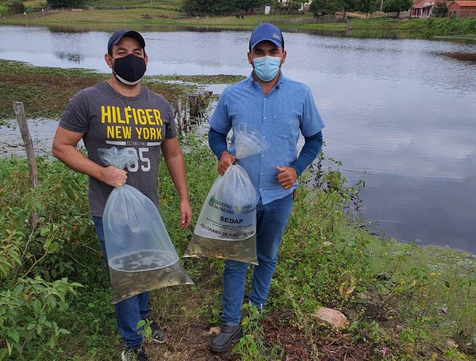 Peixamento de Açudes Públicos e Comunitários 